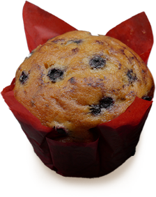 blueberry muffin