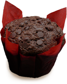 Double Chocolate Muffin