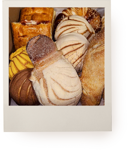 box of conchas, pastries, cheese rolls, and more